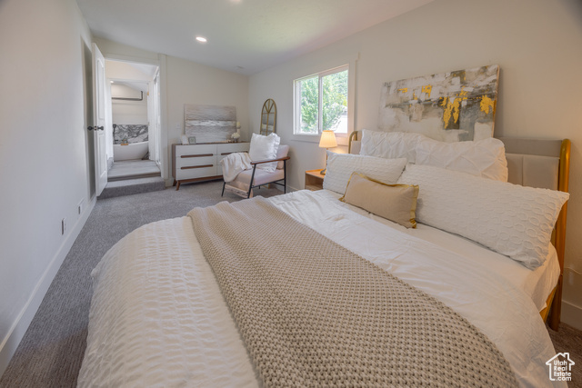 Photo 14 for MLS #2113887 at 1021 S Pueblo St