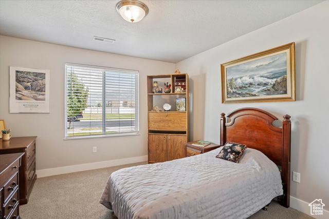 Photo 24 for MLS #2113926 at 1234 S Grace Way