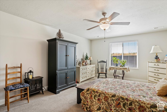 Photo 19 for MLS #2113926 at 1234 S Grace Way