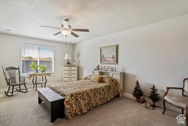 Photo 18 for MLS #2113926 at 1234 S Grace Way