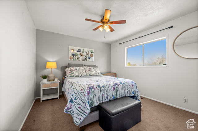 Photo 11 for MLS #2113945 at 8068 W Melville Dr