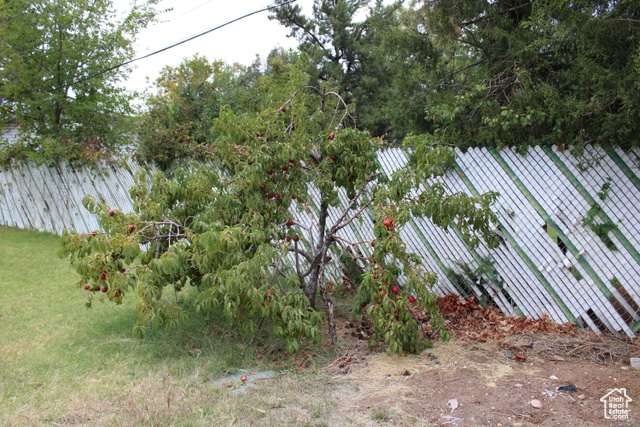 Photo 5 for MLS #2113974 at 58 1910 3920