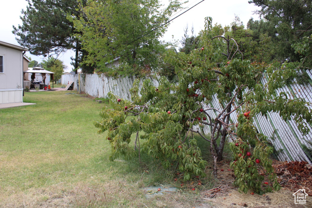 Photo 4 for MLS #2113974 at 58 1910 3920