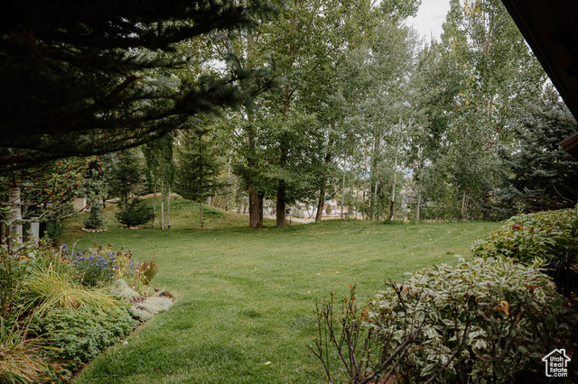 Photo 26 for MLS #2113982 at 1084 Matterhorn Ct #46