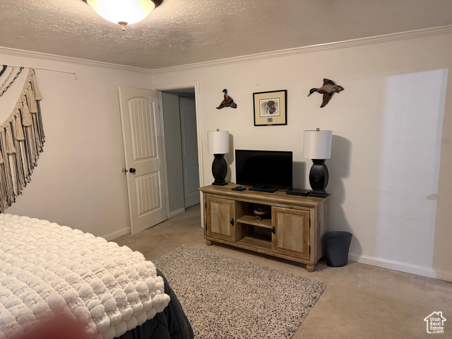 Photo 32 for MLS #2113984 at 1360 S Carterville Rd