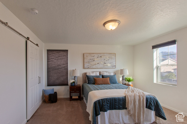 Photo 10 for MLS #2114006 at 508 W 1410 North