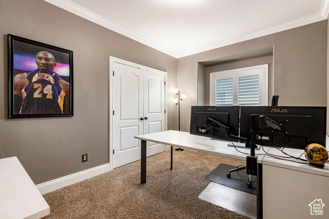 Photo 23 for MLS #2114010 at 14879 S Headrose Dr