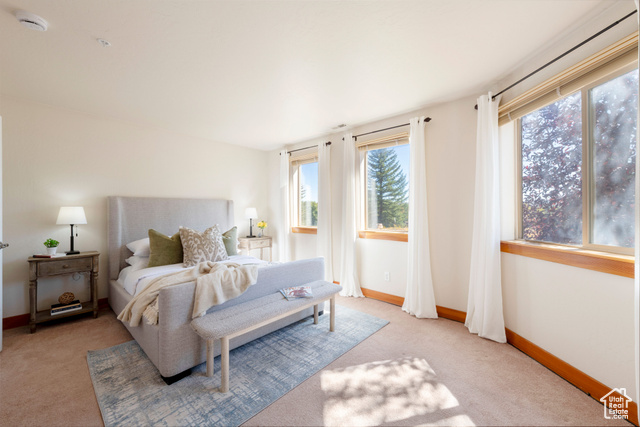 Photo 17 for MLS #2114014 at 5221 Cove Canyon Dr #B