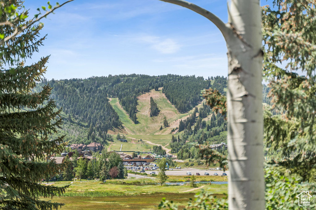 Photo 4 for MLS #2114020 at 1955 Deer Valley Dr #302