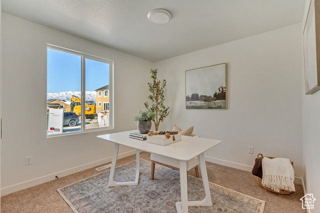 Photo 19 for MLS #2114027 at 3714 N Daffodil Dr