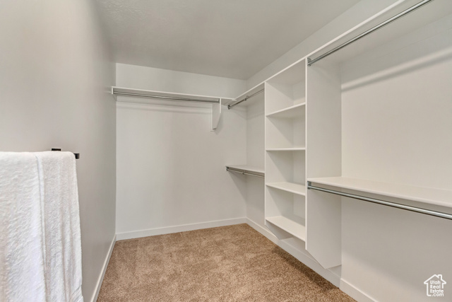 Photo 18 for MLS #2114027 at 3714 N Daffodil Dr