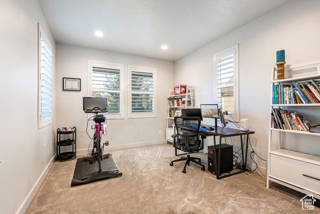 Photo 17 for MLS #2114028 at 11012 S Albion Pass Ct Ct