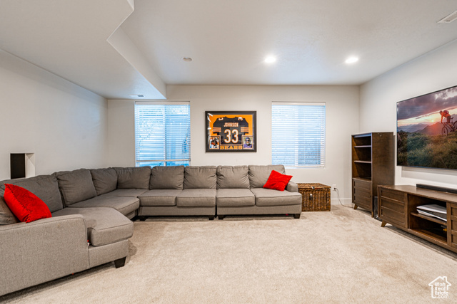 Photo 31 for MLS #2114028 at 11012 S Albion Pass Ct Ct
