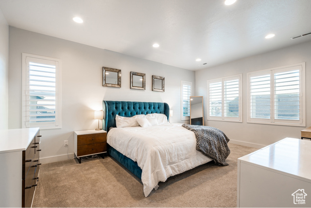 Photo 19 for MLS #2114028 at 11012 S Albion Pass Ct Ct