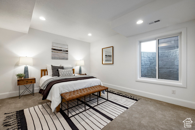 Photo 33 for MLS #2114035 at 2738 Ledger Way