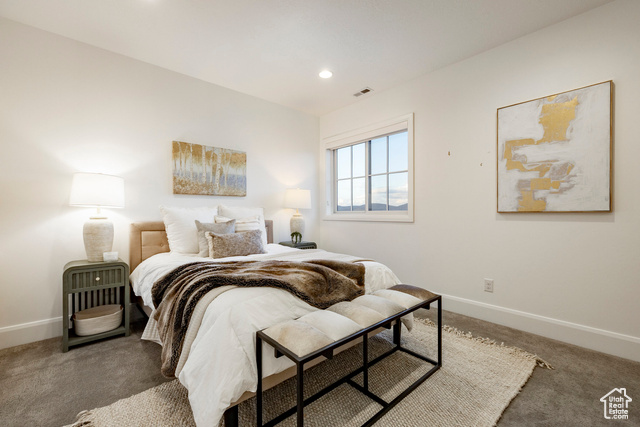 Photo 29 for MLS #2114035 at 2738 Ledger Way