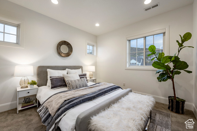 Photo 31 for MLS #2114035 at 2738 Ledger Way