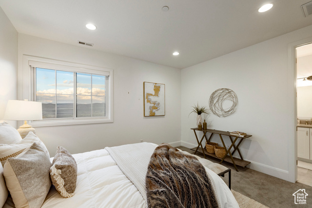 Photo 30 for MLS #2114035 at 2738 Ledger Way