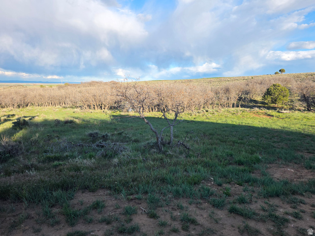 , Monticello UT 84535