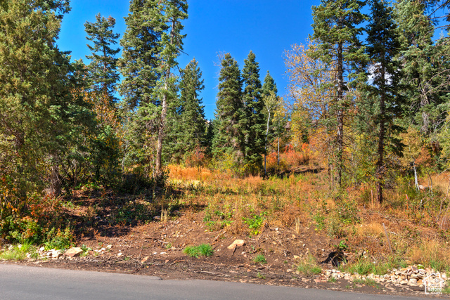 195  SAINT MORITZ STRASSE, Park City UT 84098