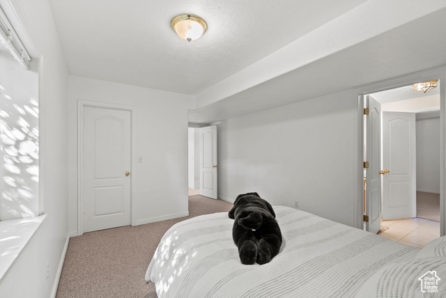Photo 27 for MLS #2114107 at 1574 E Stablewood Cir
