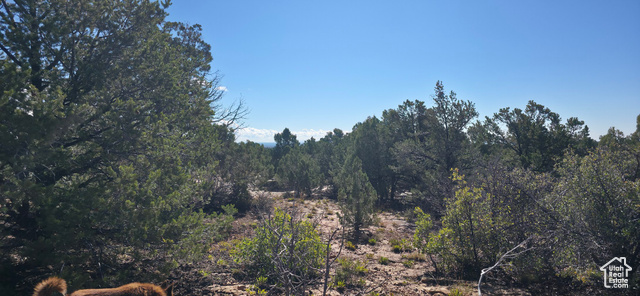Photo 13 for MLS #2114171 at 144 Canyon Terrace Dr #56A