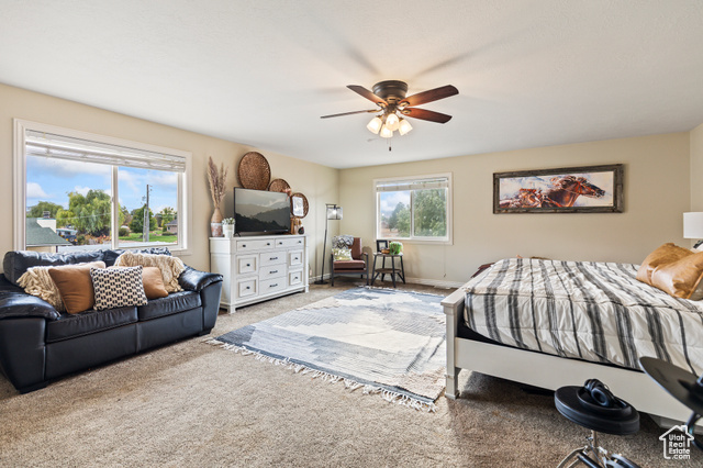 Photo 29 for MLS #2114257 at 257 N 500 East