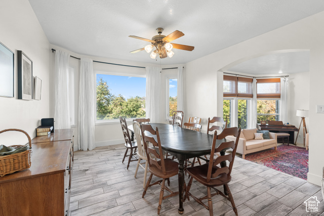 Photo 11 for MLS #2114274 at 6124 Osmond Dr