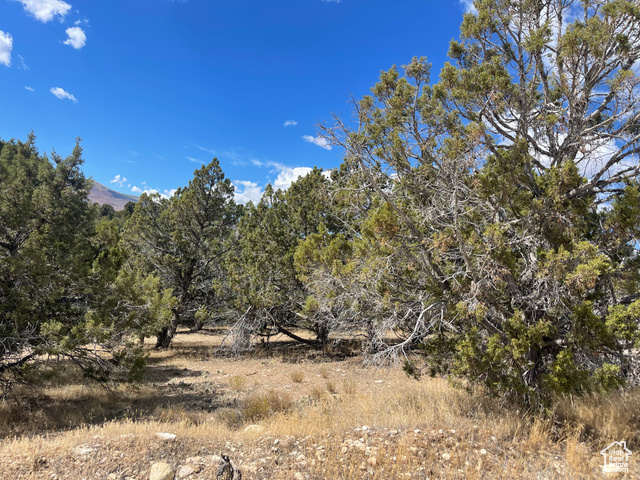 , Indianola UT 84629