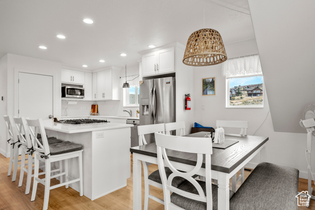 Photo 31 for MLS #2114311 at 248 W Chukar Cir