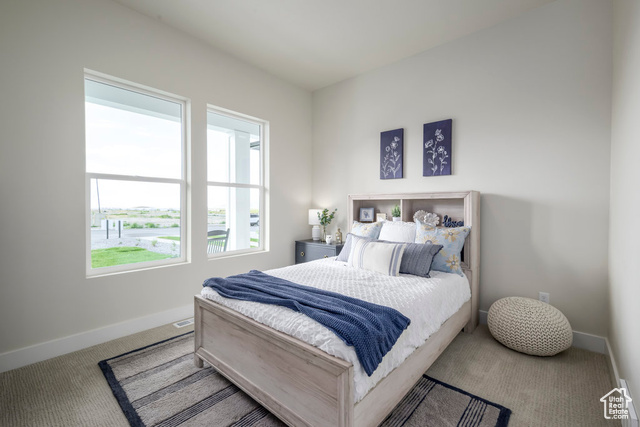 Photo 10 for MLS #2114317 at 1117 N Birch Wood Way #119