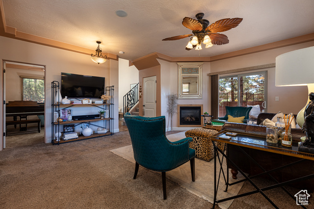 320 N W LOS BARANCOS LN, Kanab UT 84741
