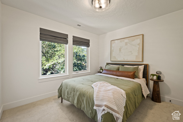 Photo 17 for MLS #2114387 at 8366 S Levine Ln