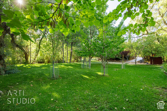 Photo 36 for MLS #2114461 at 391 S Cedar Tree Dr