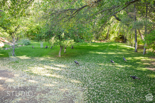 Photo 34 for MLS #2114461 at 391 S Cedar Tree Dr