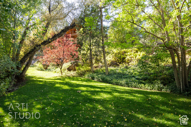Photo 33 for MLS #2114461 at 391 S Cedar Tree Dr