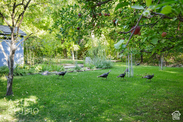 Photo 31 for MLS #2114461 at 391 S Cedar Tree Dr