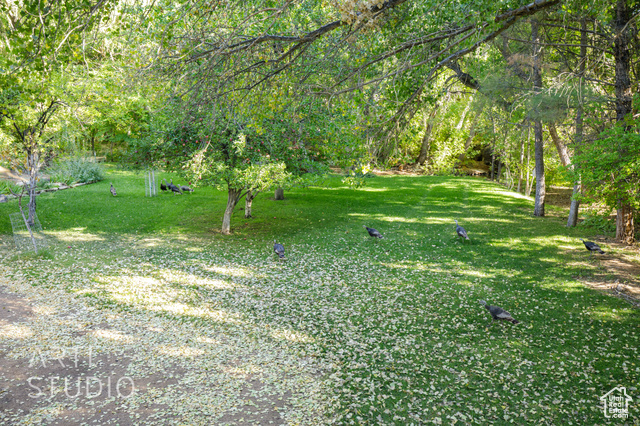 Photo 38 for MLS #2114461 at 391 S Cedar Tree Dr