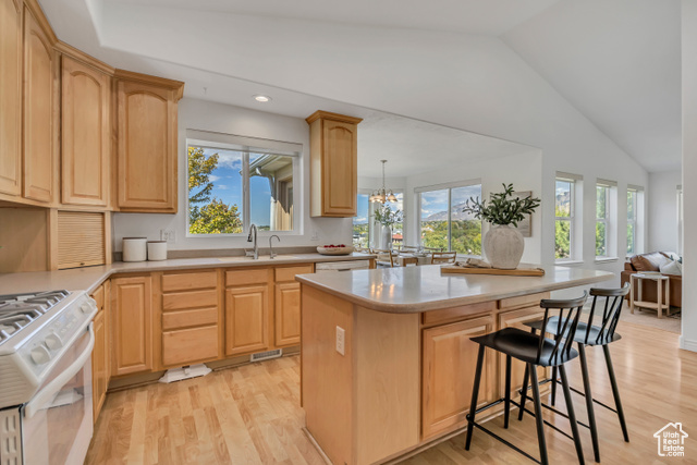 Photo 16 for MLS #2114473 at 2059 E Bear Ridge Cv