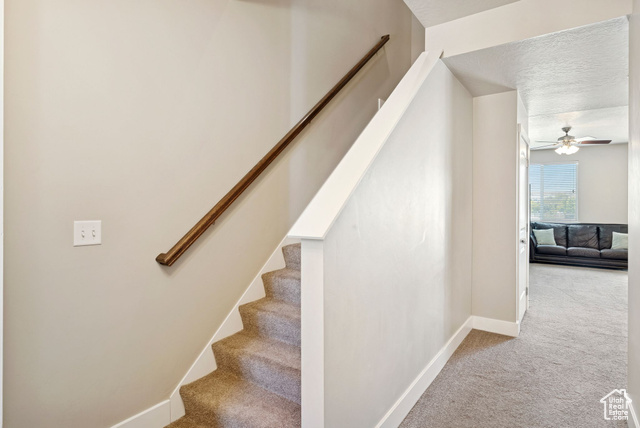 Photo 10 for MLS #2114515 at 3731 N Prairie Grass Dr
