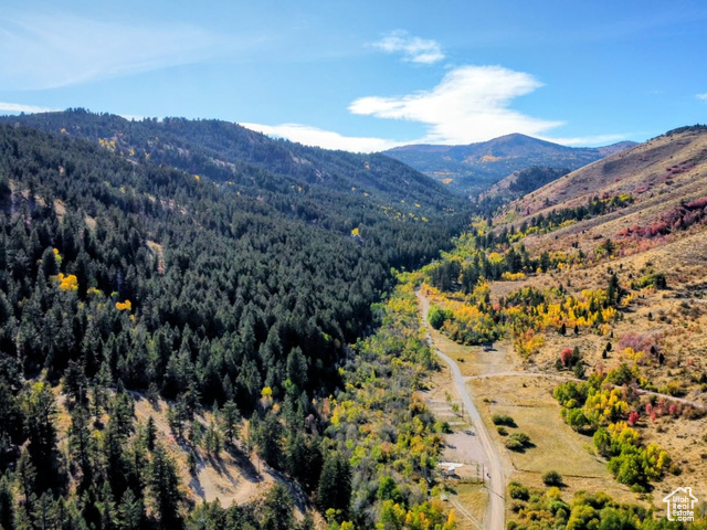 22  SKINNER CANYON RD, Montpelier ID 83254