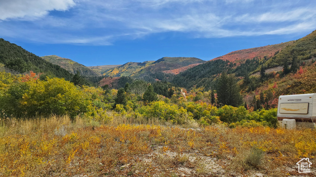 13355 E BIRCH CREEK DR, Fairview UT 84629