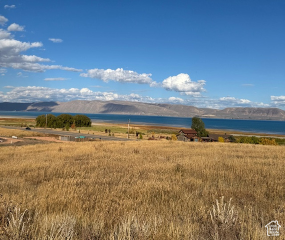 167  WANDERING DAISY DR, Fish Haven ID 83287