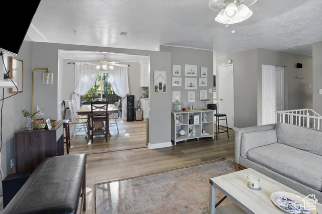 Photo 7 for MLS #2114587 at 690 Barlow St