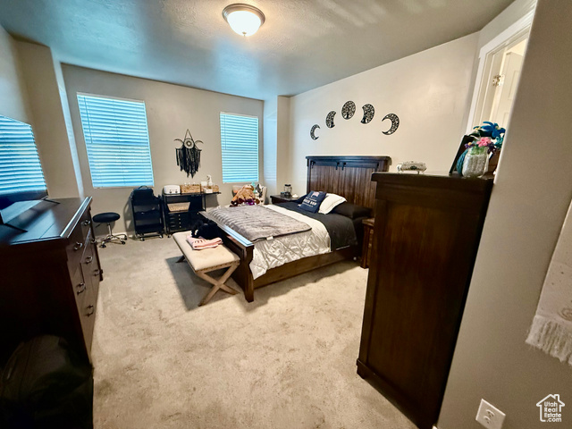 Photo 18 for MLS #2114596 at 583 S Alberta Spruce Dr