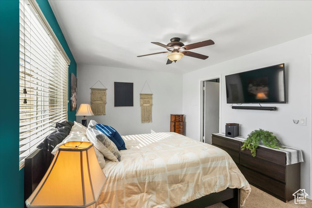 Photo 21 for MLS #2114618 at 7984 St Ives Ln