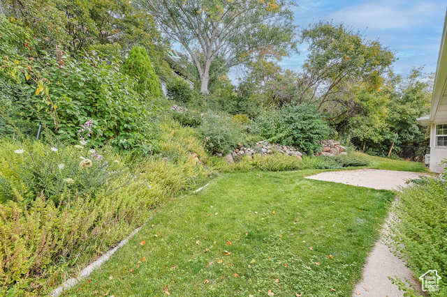 Photo 44 for MLS #2114622 at 2015 Ridgehollow Dr
