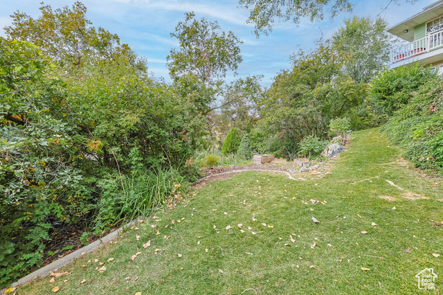 Photo 45 for MLS #2114622 at 2015 Ridgehollow Dr