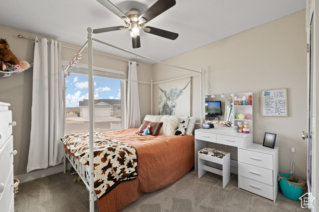 Photo 28 for MLS #2114663 at 765 W Vista View Dr