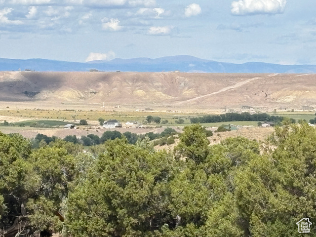 Photo 14 for MLS #2114678 at 9431 S Big Buck Rd